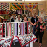 Unveiling of Ann's First Fabric Line - Poppy Panache